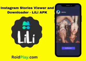 Lili APK [Latest Version] Story Viewer & Downloader for Android 4